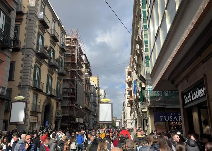 Toledo Aragon